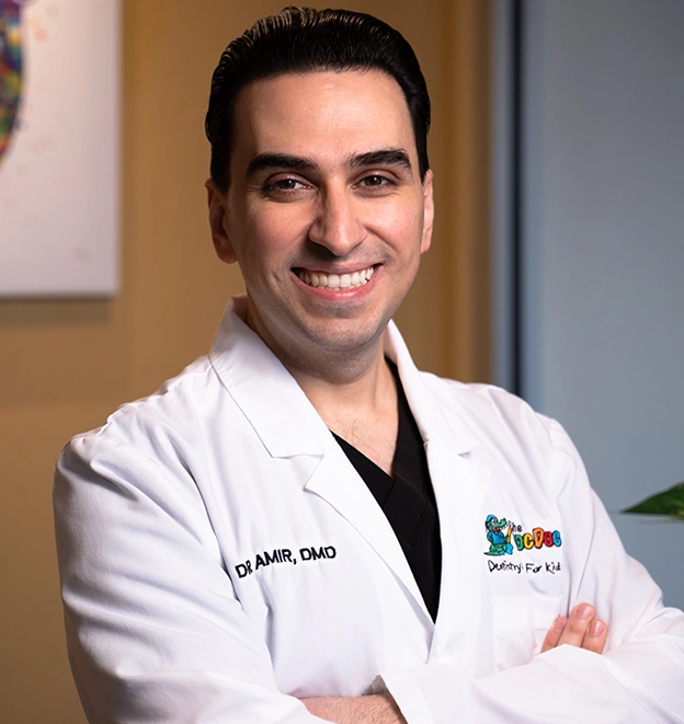 Dr. Amir Aghili Image