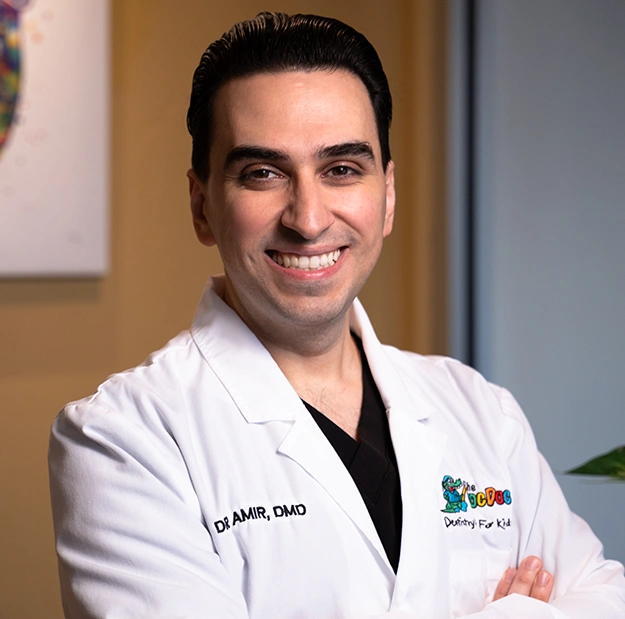 Dr. Amir Aghili